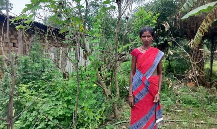 किचन गार्डन से आत्मनिर्भर बन रहीं बिहान की दीदियां
