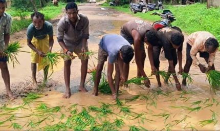 सड़क नहीं बनी तो गड्ढों में उगा दी धान, सूरजपुर में ग्रामीणों का अनोखा विरोध प्रदर्शन