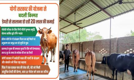 योगी सरकार की योजना से बदली किस्मत, डेयरी से सालाना हो रही 20 लाख की कमाई
