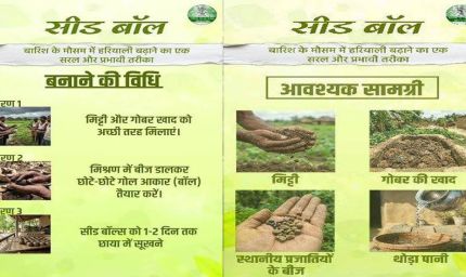 सीड बॉल अभियान- हरियाली बढ़ाने का सरल और प्रभावी माध्यम
