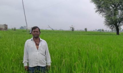 गलत धान बीज से किसानों की लाखों की फसल चौपट, फर्म संचालक पर कार्रवाई की मांग