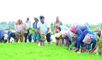 कृषि कार्यों में शामिल हुए शिक्षा मंत्री गजेन्द्र यादव
