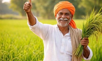 फसल बीमा कंपनियों पर सख्ती, सर्वे और क्लेम में देरी पर होगा जुर्माना
