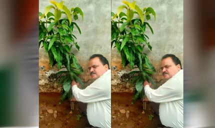 अधिमान्य पत्रकार नेतृत्व समिति के प्रदेश अध्यक्ष प्रीतम वर्मन ने लगाया एक वृक्ष