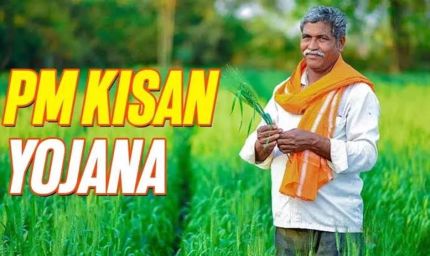 पीएम किसान की अगली किस्त पर बड़ा अपडेट, जानें कब खाते में आएंगे पैसे