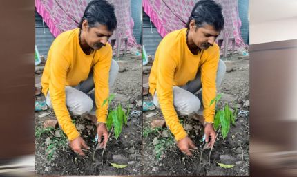 इंदौर संभागीय अध्यक्ष ओम प्रकाश ठाकुर ने आम के वृक्ष देवास में लगाए