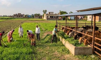 यूपी में गोचर भूमि मुक्त, गोवंश के लिए बढ़ेगी हरे चारे की व्यवस्था