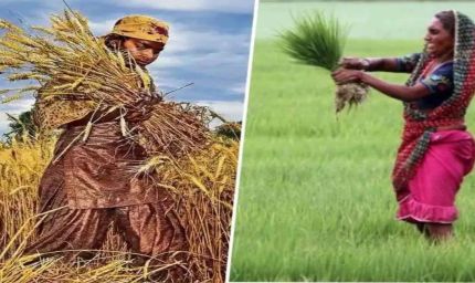 बिहार में बढ़ी महिला किसानों की ताकत, 89 लाख का आंकड़ा पार