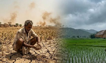 Punjab Weather: 126 साल में सबसे सूखा मानसून! 38% कम बारिश से धान की फसल पर गहराया संकट