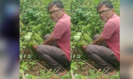 जबलपुर पूर्व प्रदेश अध्यक्ष सुनील कुमार राय ने पीपल के वृक्ष मझौली में लगाए