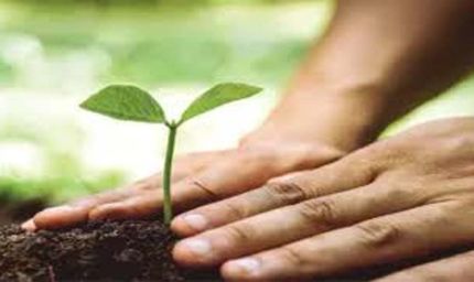 15 अगस्त पर यूपी का हरित संकल्प, हर जिले में बनेगी 'वंदे मातरम् वाटिका'