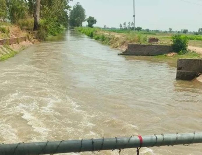 भाखड़ा नहरों ने बदली हरियाणा की तकदीर, सूखे खेतों से बना देश का कृषि पावरहाउस