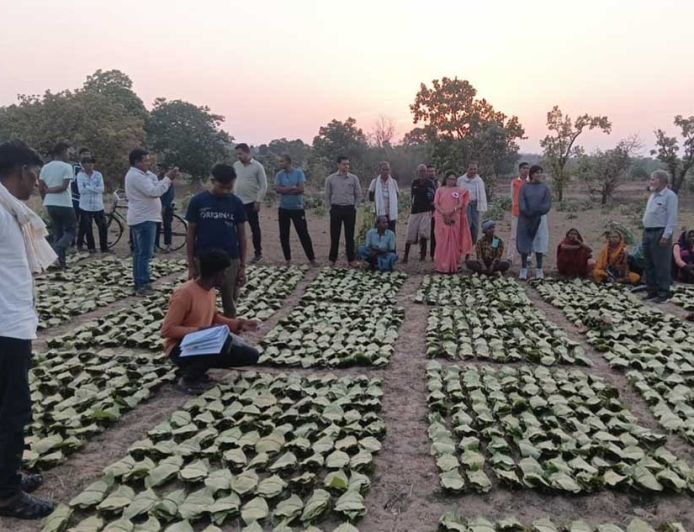 साय सरकार के सुशासन में तेन्दूपत्ता संग्राहकों को मिली आर्थिक मजबूती, 10,160 हितग्राहियों के खातों में पहुँची 1.39 करोड़ रुपये से अधिक की बोनस राशि