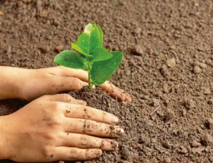 आषाढ़ में समृद्धि, कपि, ऊर्जा और समरस वन स्थापित करेगा वन विभाग