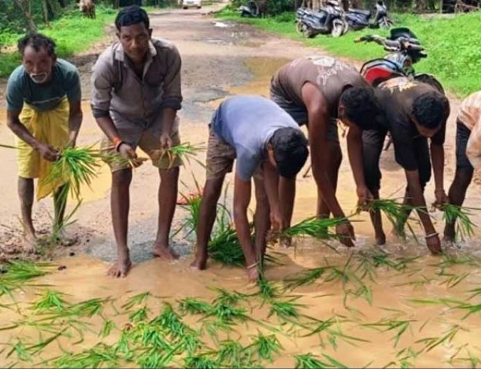 सड़क नहीं बनी तो गड्ढों में उगा दी धान, सूरजपुर में ग्रामीणों का अनोखा विरोध प्रदर्शन