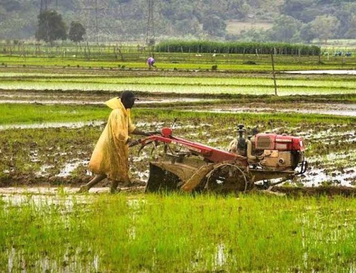 ​धमतरी में कृषि क्रांति: 22 नई सहकारी समितियों से किसानों की राह आसान