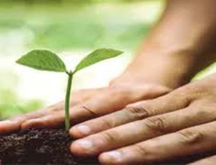 15 अगस्त पर यूपी का हरित संकल्प, हर जिले में बनेगी 'वंदे मातरम् वाटिका'