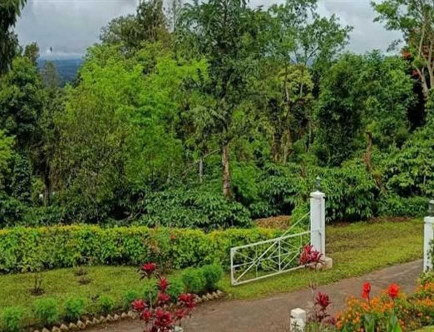 प्राकृतिक सौंदर्य, कॉफी बागानों और जनजातीय संस्कृति की अनूठी पहचान है बैतूल का कुकरू खामला