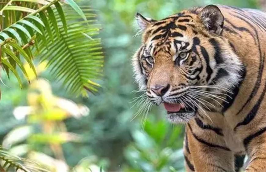 बिहार में इको-टूरिज्म को मिलेगा बड़ा विस्तार, 70 पर्यटन स्थलों का लक्ष्य तय