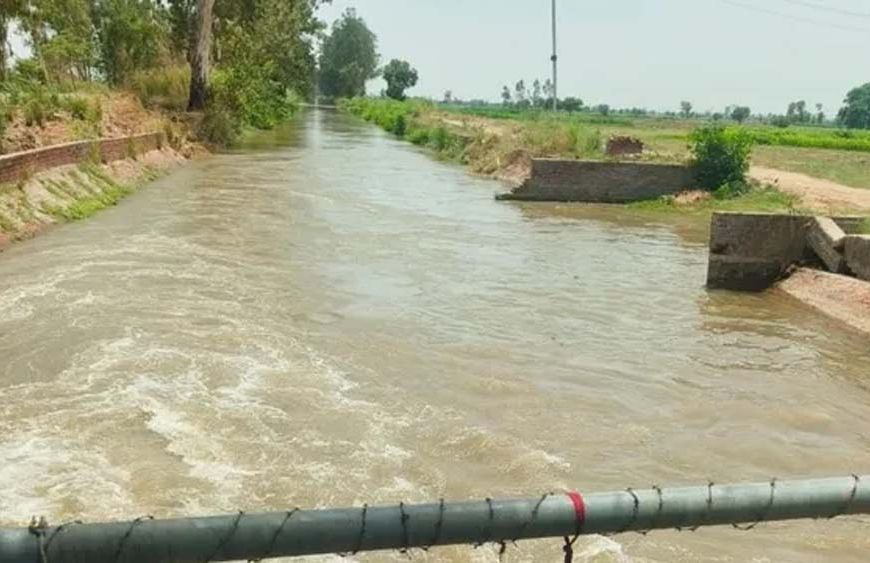 भाखड़ा नहरों ने बदली हरियाणा की तकदीर, सूखे खेतों से बना देश का कृषि पावरहाउस