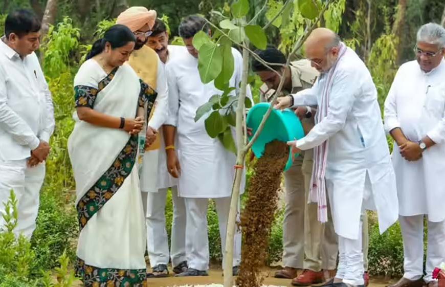 दिल्ली के रिज क्षेत्र की बदलेगी तस्वीर, 70 लाख पौधों से बनेगा राजधानी का हरित फेफड़ा