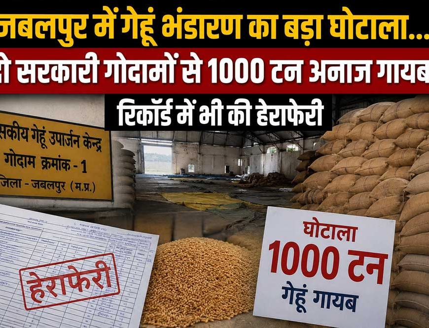 जबलपुर में गेहूं भंडारण का बड़ा घोटाला, दो सरकारी गोदामों से 1000 टन अनाज गायब