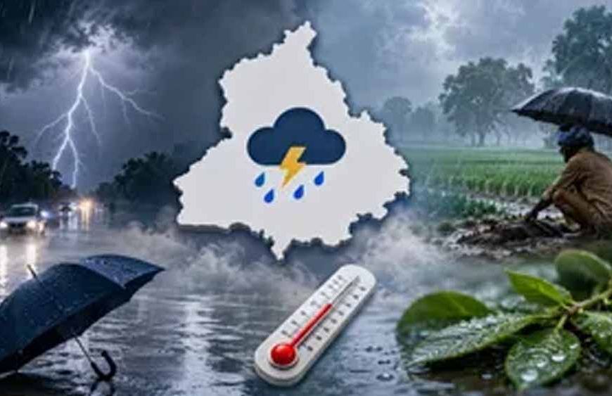Punjab Weather: उत्तर और मध्य जिलों में 4 दिन बारिश का अलर्ट, दक्षिण-पश्चिम में उमस करेगी परेशान