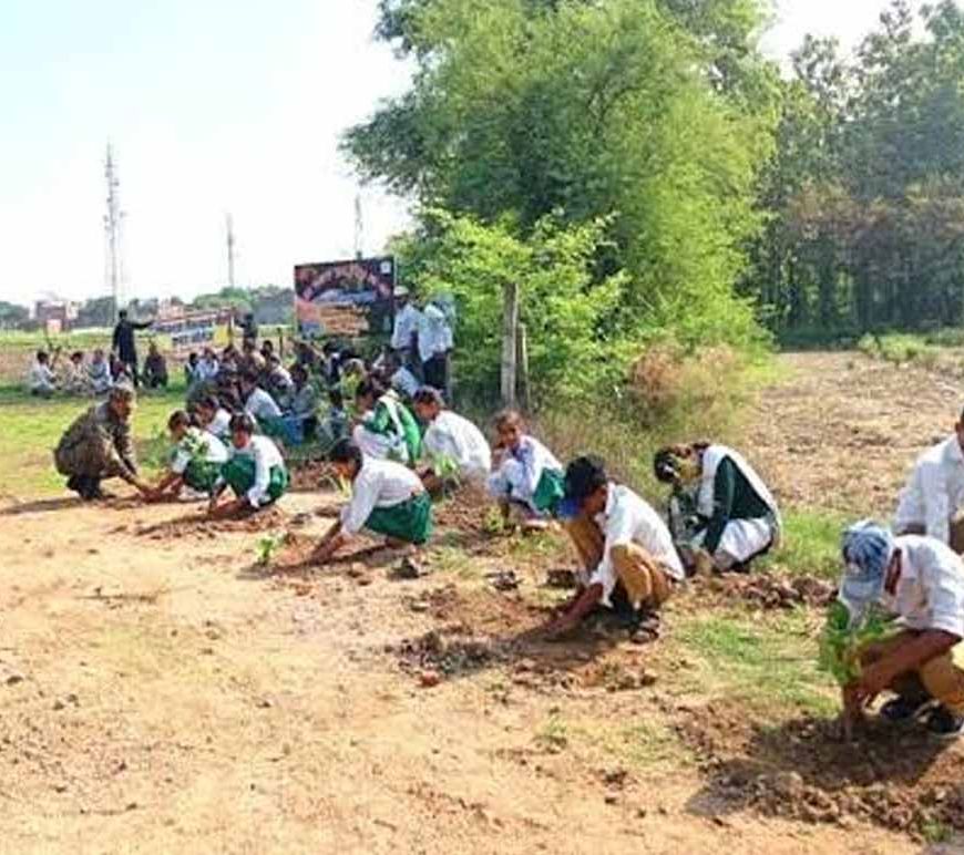 Chandigarh News: ग्रीनरी बढ़ाने की मुहिम, विद्यार्थियों और स्वयंसेवकों ने लगाए 5,000 पौधे
