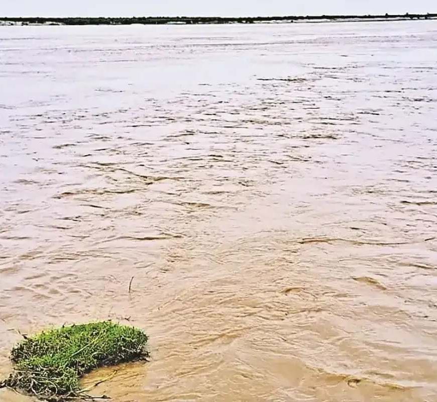नेपाल की बारिश से उफनी गंडक, वाल्मीकीनगर बराज से बढ़ाया गया पानी का डिस्चार्ज