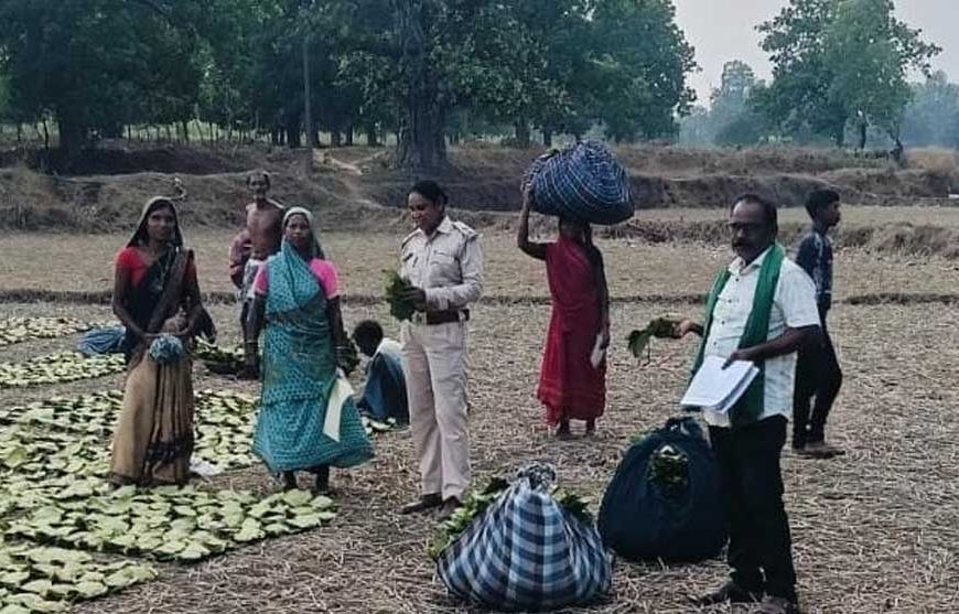 तेन्दूपत्ता संग्राहकों के खातों में पहुंचने लगी बोनस राशि