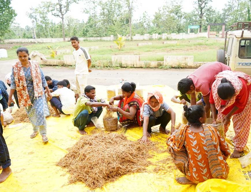 सुकमा में मशरूम उत्पादन का प्रशिक्षण बना आत्मनिर्भरता की नई राह