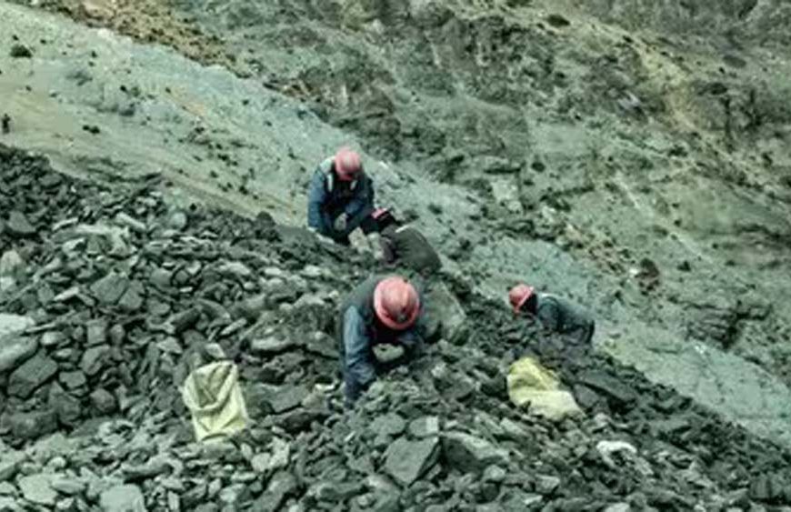 बिहार में 44 नए भूखंडों पर पत्थर खनन को सरकार ने दी मंजूरी