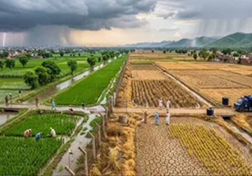 23% कम बारिश के साथ रेड जोन में पंजाब, कल से फिर कमजोर पड़ेगा मानसून