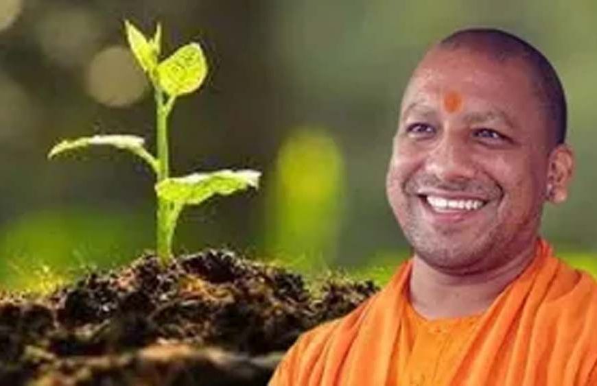 सीएम योगी ने शुरू किया पौधरोपण महायज्ञ, 35 करोड़ पौधे लगाने का लक्ष्य