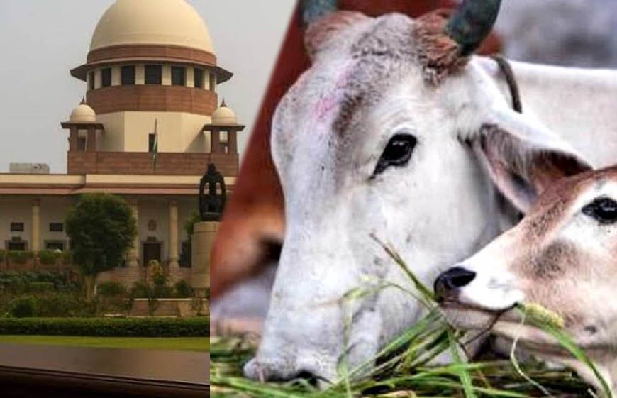 तमिलनाडु में गौहत्या मामले पर सुप्रीम कोर्ट का बड़ा फैसला, HC के आदेश पर रोक हटाई, राज्य सरकार को राहत