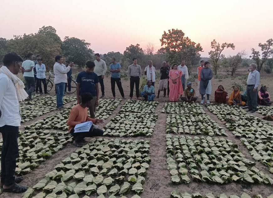 साय सरकार के सुशासन में तेन्दूपत्ता संग्राहकों को मिली आर्थिक मजबूती, 10,160 हितग्राहियों के खातों में पहुँची 1.39 करोड़ रुपये से अधिक की बोनस राशि