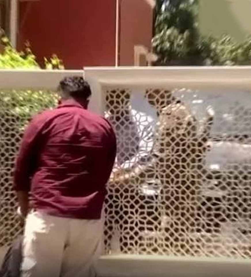 फिरोजपुर में प्रॉपर्टी डीलर के घर ED की बड़ी कार्रवाई, सुबह से बंद दरवाजों के भीतर चल रही रेड