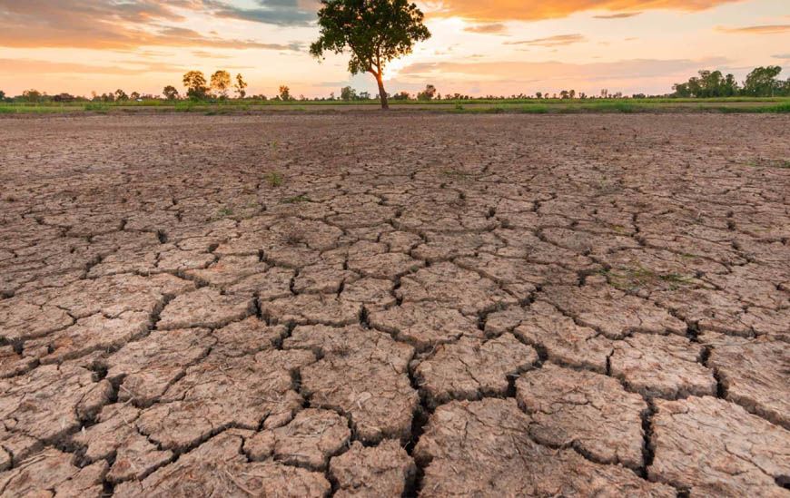 MP Weather: 33 जिलों में सामान्य से कम बारिश, किसानों की बढ़ी चिंता; फिलहाल भारी बारिश के संकेत नहीं