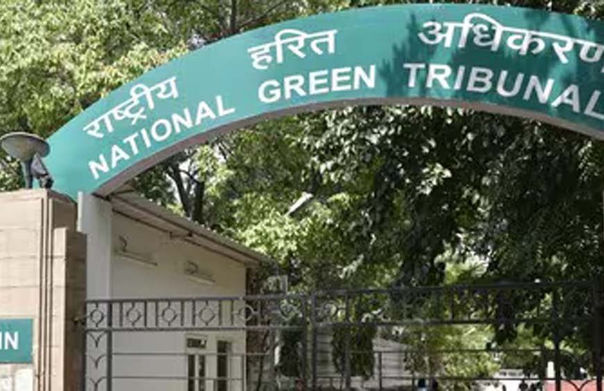 मैनपुरी तालाबों पर अतिक्रमण मामले में एनजीटी ने डीएम समेत सरकार को नोटिस