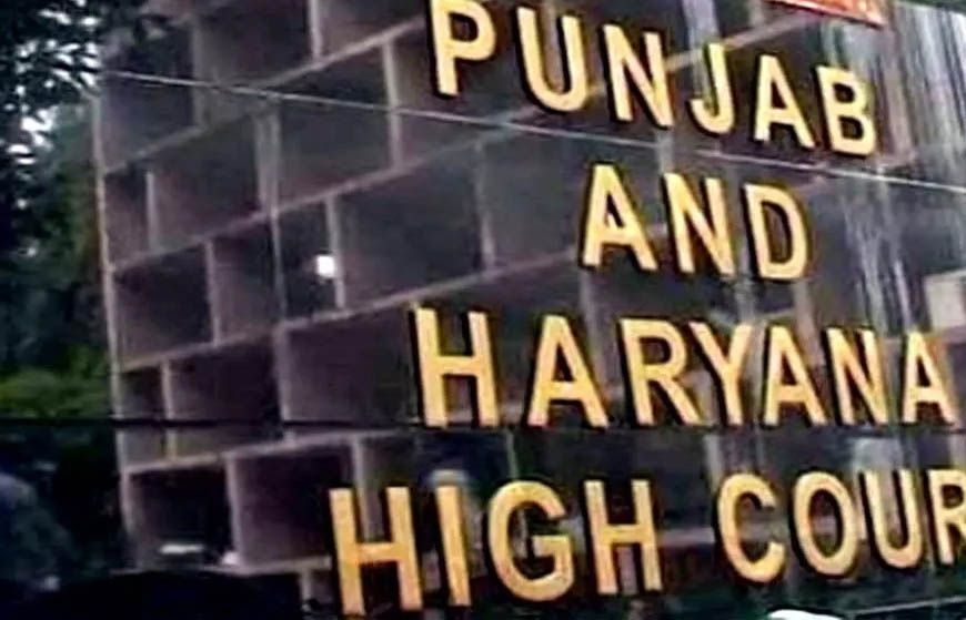 सफाई कर्मचारियों की हड़ताल पर हाईकोर्ट सख्त, पंजाब सरकार से कहा- जरूरत पड़े तो ESMA लागू करें