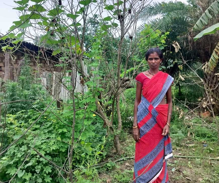 किचन गार्डन से आत्मनिर्भर बन रहीं बिहान की दीदियां