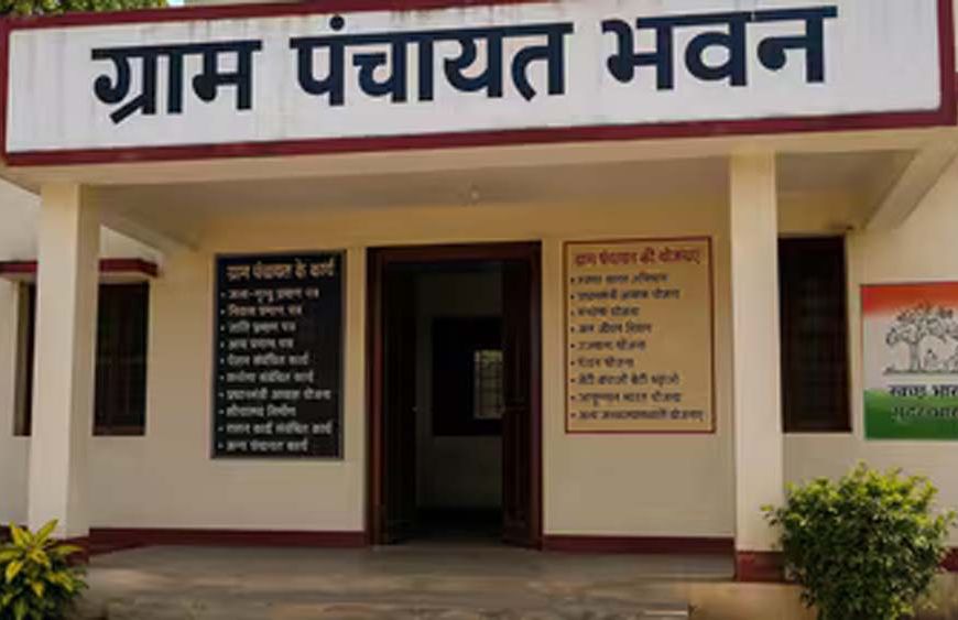 2011 जनगणना के आधार पर बिहार की सभी ग्राम पंचायतों का परिसीमन होगा