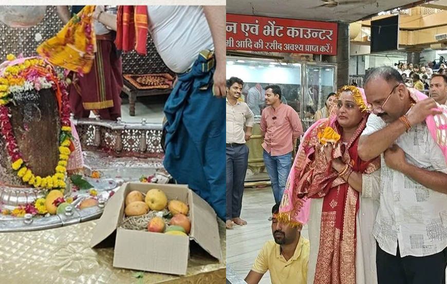 उज्जैन में बाबा महाकाल को चढ़ाया ₹2.5 लाख किलो वाला खास आम, जबलपुर के भक्त 12 साल से निभा रहे अनोखी परंपरा