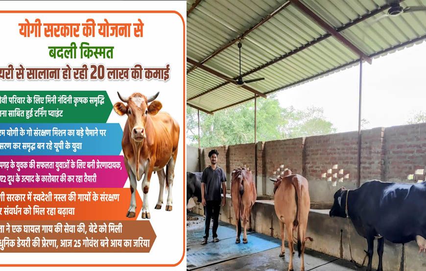 योगी सरकार की योजना से बदली किस्मत, डेयरी से सालाना हो रही 20 लाख की कमाई
