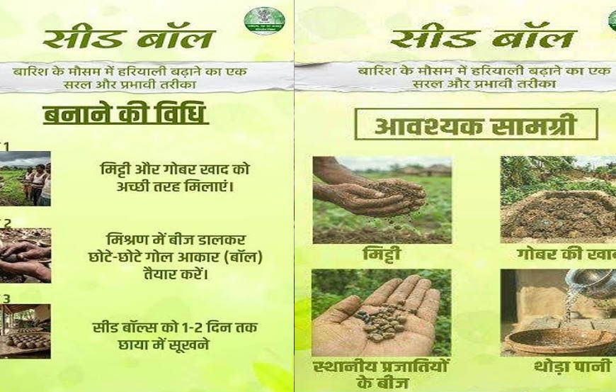 सीड बॉल अभियान- हरियाली बढ़ाने का सरल और प्रभावी माध्यम