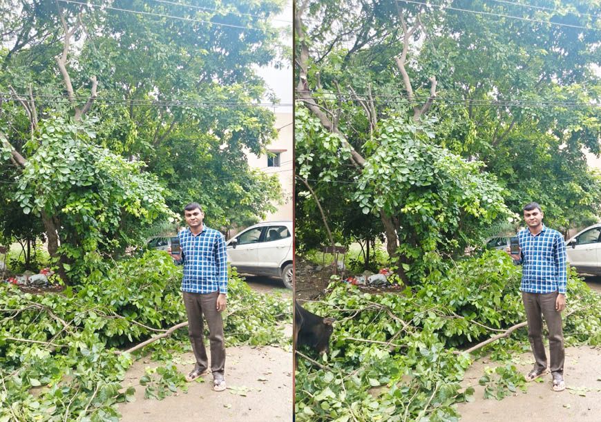 मुख्यमंत्री हेल्पलाइन से मिला त्वरित समाधान, बिजली तार से टकरा रही पेड़ की डालियां हटीं, बड़ा हादसा टला
