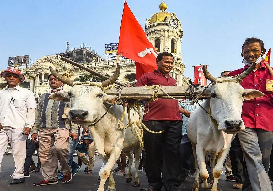 आठ दिन में समाधान नहीं हुआ तो कलेक्ट्रेट पर धरना देंगे किसान, कलेक्टर दिया चेतावनी भरा आवेदन
