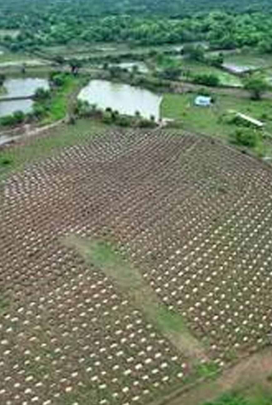 CG में जल संरक्षण की बड़ी पहल, बारिश का पानी बचाने बनाए गए 54 हजार से अधिक सोख्ता गड्ढे