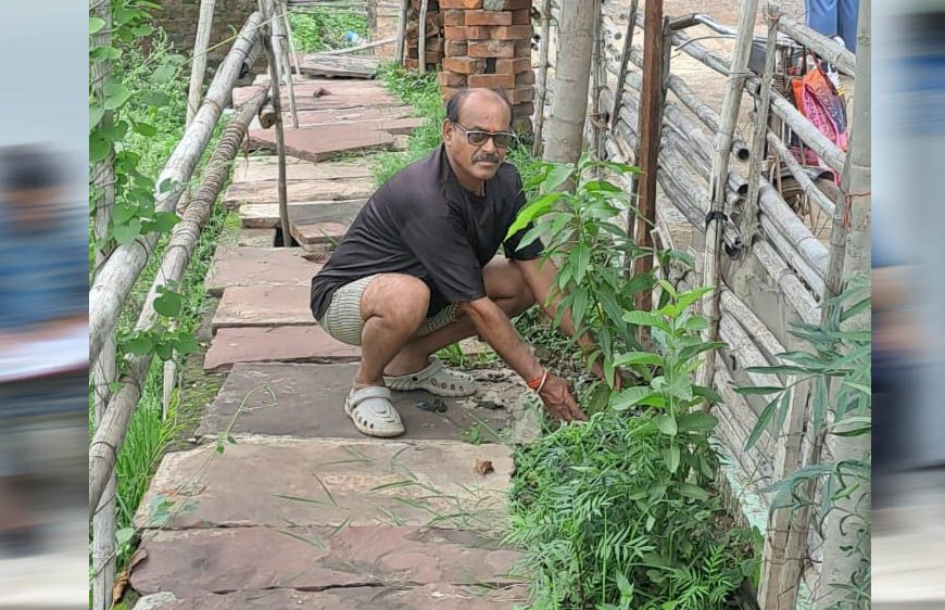 जबलपुर संभागीय महासचिव अनिल कमल तिवारी ने आम के वृक्ष कटनी में लगाए