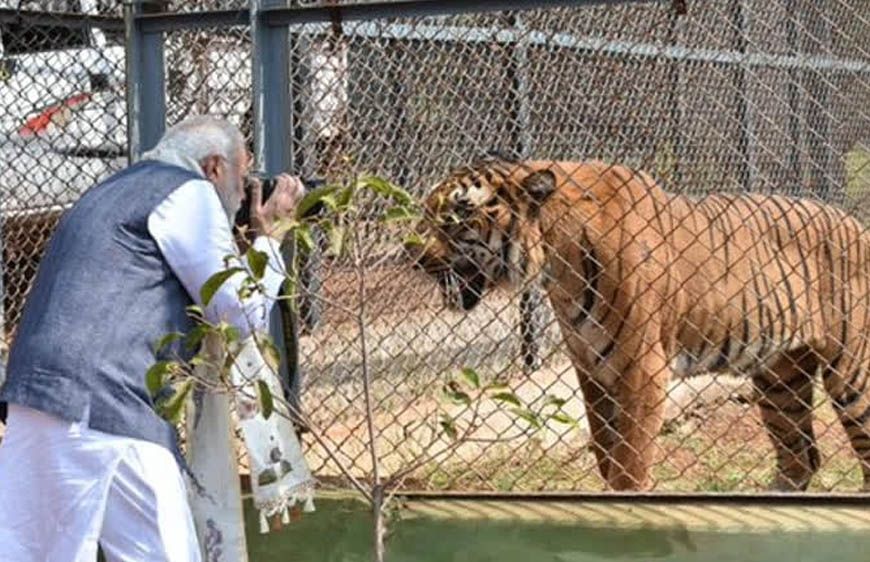 प्रकृति और वन्यजीव संरक्षण का अनूठा संगम है नंदनवन जंगल सफारी